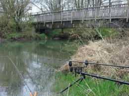 Kleine Laber (Mallersdorf-Pfaffenberg)-1