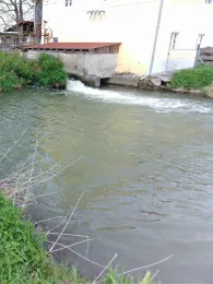 Kleine Laber (Mallersdorf-Pfaffenberg)