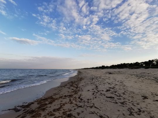 Ostsee (Marielyst)-2