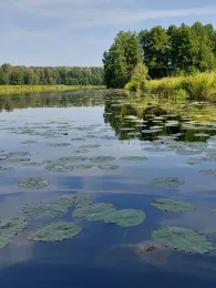 Dahme (Hermsdorfer Mühle)-4
