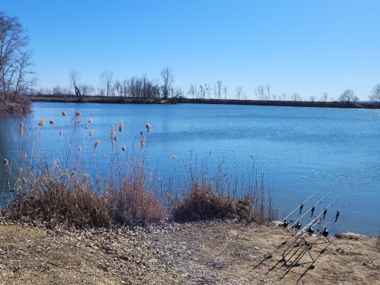 World carp lake