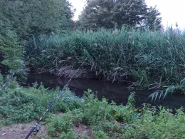 Große Erft (Bergheim)-2