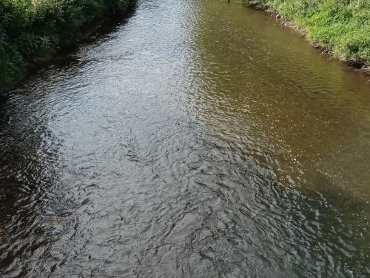 Große Erft (Bergheim)-1