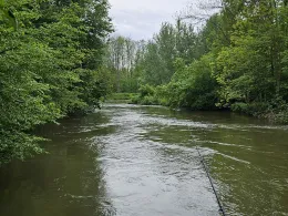 Große Erft (Bergheim)-4