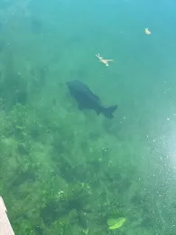 Großer Eichelgartensee