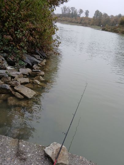 Dortmund-Ems-Kanal (Olfen)-1