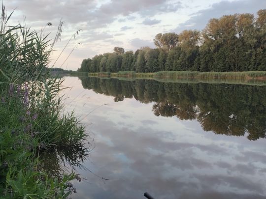 Donau (Dillingen/Donau)-4