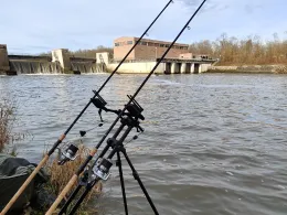 Donau (Dillingen/Donau)-4