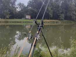 Donau (Dillingen/Donau)-2