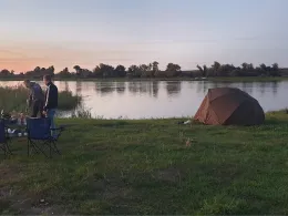 Alte Oder (Gorgast-Golzow)