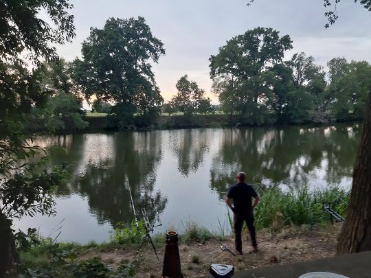 Alte Oder (Gorgast-Golzow)-4