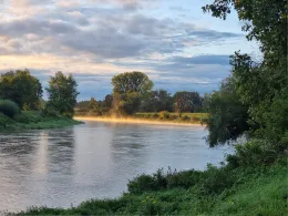 Donau (Donauwörth)-4