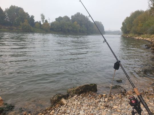 Donau (Donauwörth)-2