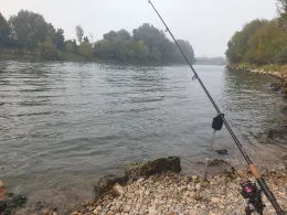 Donau (Donauwörth)-2