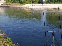 Donau (Donauwörth)-4