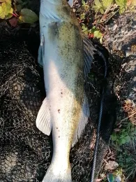 Datteln-Hamm-Kanal (Hamm)-1