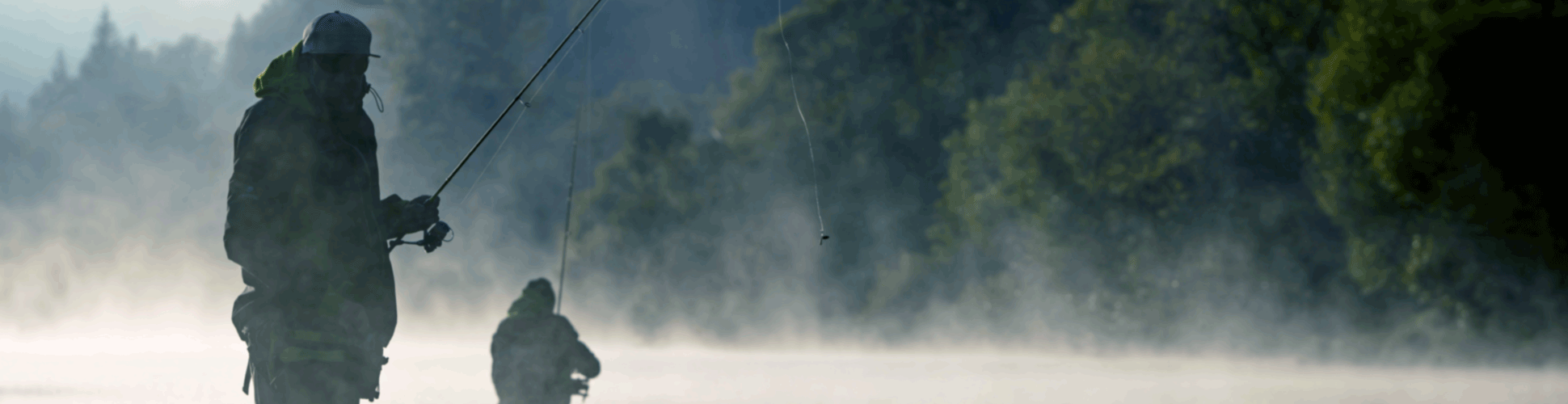 ProAngler Teaser